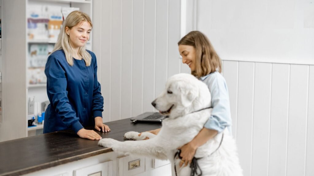 marketing digital para clínicas veterinárias