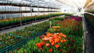 marketing digital para floriculturas