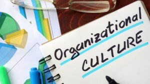 cultura organizacional