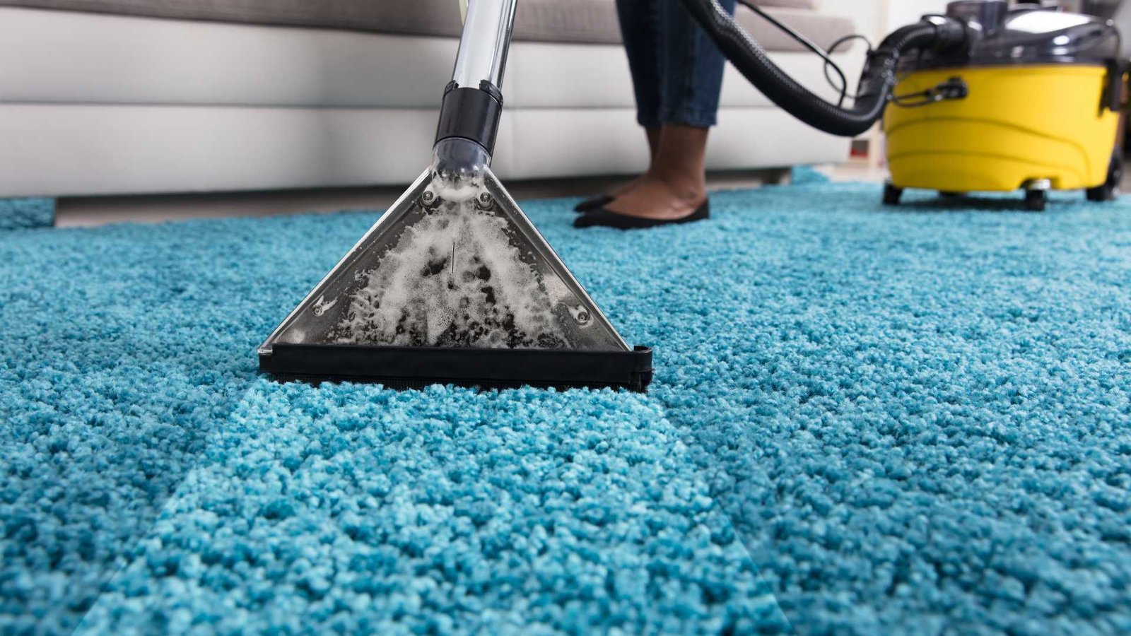 marketing digital para limpeza de carpetes